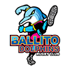 Ballito Dolphins Rugby Club